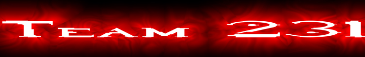 Team 231 index banner